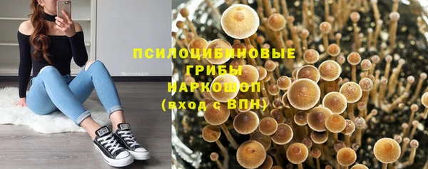 скорость Бородино